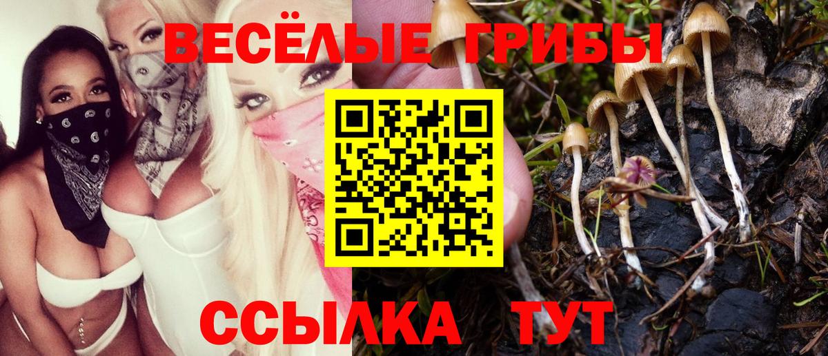 купить закладку  Псилоцибиновые грибы прущие грибы  Вход с VPN  Сарапул  Псилоцибиновые грибы Magic Shrooms 